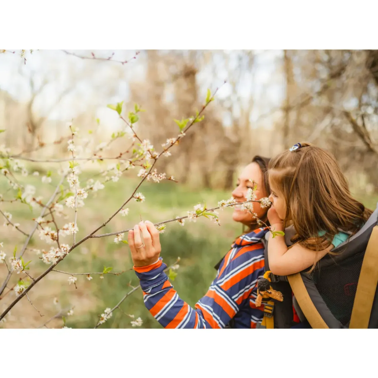 Kelty Family|Child Carriers-Kelty Journey PerfectFIT™ Elite