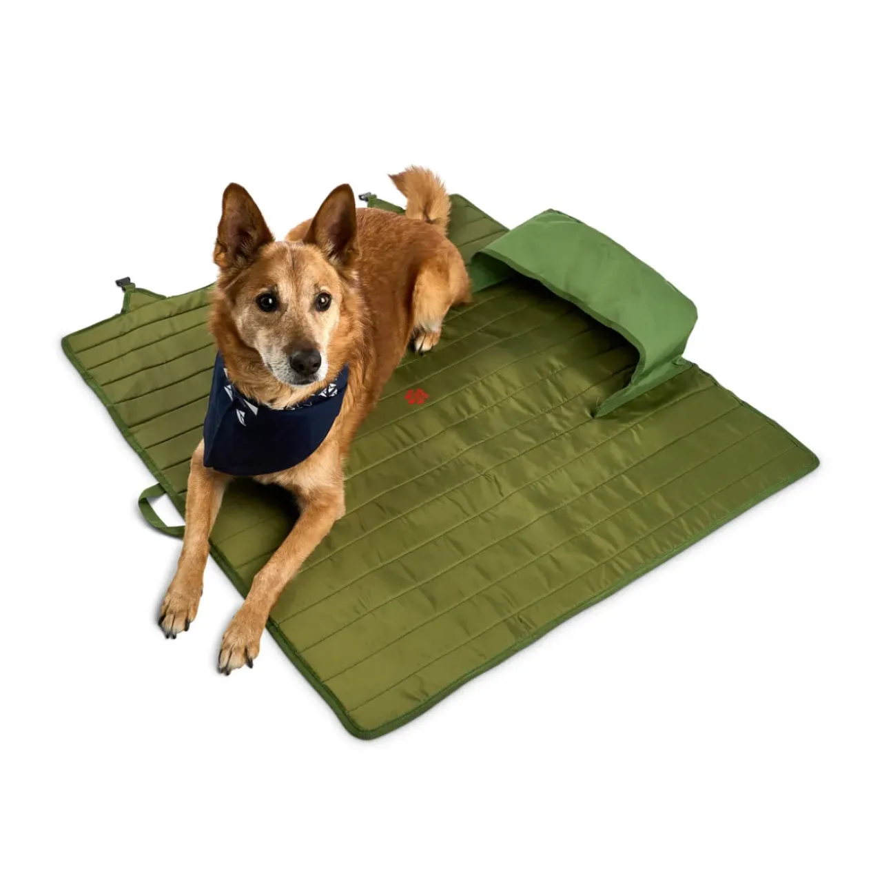 Kelty Family|Roadie Life-Kelty Lowdown Couch