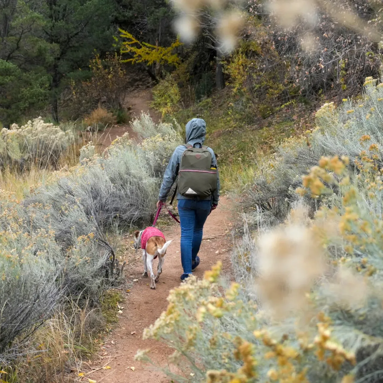 Roadie Life|Hiking & Lifestyle Packs-Kelty ORIGINS COLLECTION: LINWOOD BurntOlive