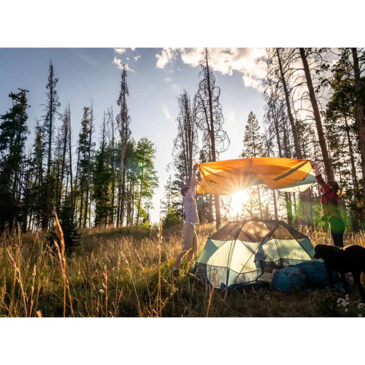 Roadie Life|Camping Tents-Kelty Wireless 4